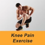 Logo of Knee Pain Exercise App android Application 